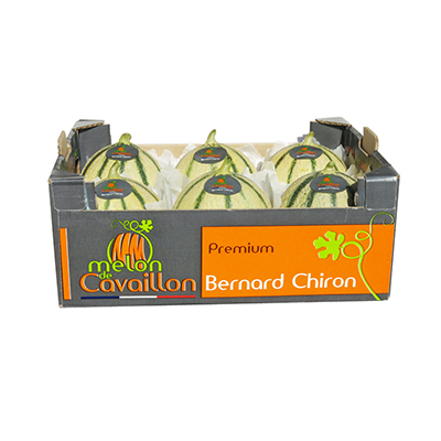 cagette melons Cavaillon