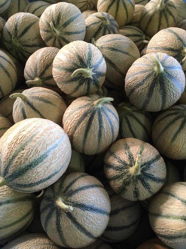 nos melons par terroir